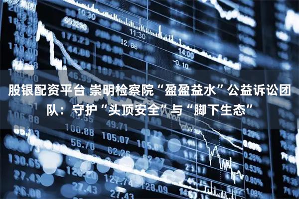 股银配资平台 崇明检察院“盈盈益水”公益诉讼团队：守护“头顶安全”与“脚下生态”