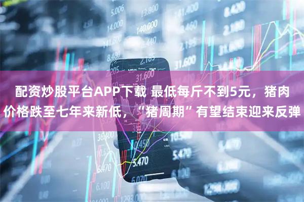 配资炒股平台APP下载 最低每斤不到5元，猪肉价格跌至七年来新低，“猪周期”有望结束迎来反弹