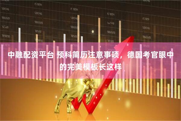 中融配资平台 预科简历注意事项，德国考官眼中的完美模板长这样