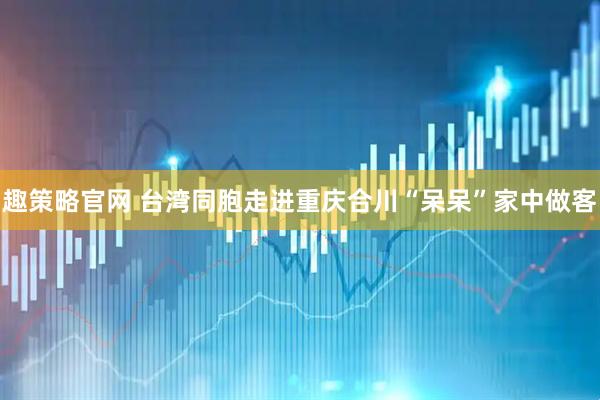 趣策略官网 台湾同胞走进重庆合川“呆呆”家中做客